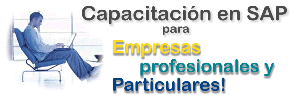 SAP Profesionals - Todos los cursos